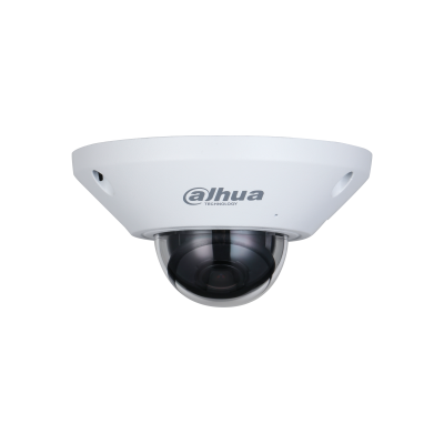 DH-IPC-EB5541P-AS